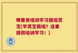 哪里有培训学习栽培灵芝(学灵芝栽培？这里提供培训学习！)