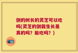 倒的树长的灵芝可以吃吗(灵芝的倒栽生长是真的吗？能吃吗？)