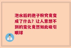 泡水后的孢子粉究竟变成了什么？让人意想不到的变化竟然如此吸引眼球