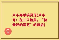 卢小开采摘灵芝(卢小开：在三只松鼠，“做最好的灵芝”的背后)