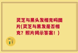 灵芝与黑头发相克吗图片(灵芝与黑发是否相克？照片揭示答案！)