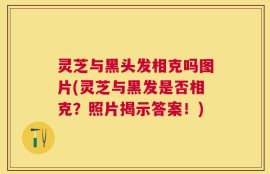 灵芝与黑头发相克吗图片(灵芝与黑发是否相克？照片揭示答案！)