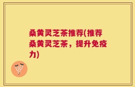 桑黄灵芝茶推荐(推荐桑黄灵芝茶，提升免疫力)