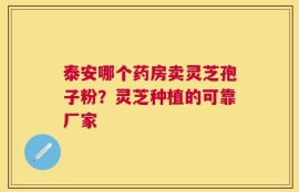 泰安哪个药房卖灵芝孢子粉？灵芝种植的可靠厂家