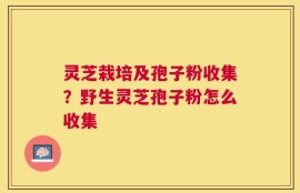 灵芝栽培及孢子粉收集？野生灵芝孢子粉怎么收集