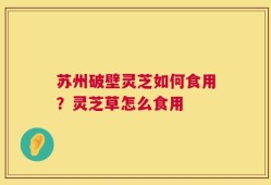 苏州破壁灵芝如何食用？灵芝草怎么食用