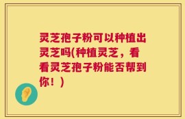灵芝孢子粉可以种植出灵芝吗(种植灵芝，看看灵芝孢子粉能否帮到你！)