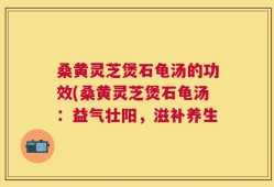 桑黄灵芝煲石龟汤的功效(桑黄灵芝煲石龟汤：益气壮阳，滋补养生