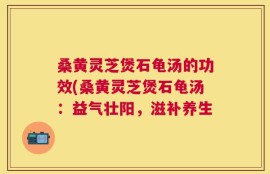 桑黄灵芝煲石龟汤的功效(桑黄灵芝煲石龟汤：益气壮阳，滋补养生
