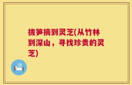 拔笋摘到灵芝(从竹林到深山，寻找珍贵的灵芝)