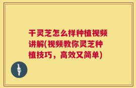 干灵芝怎么样种植视频讲解(视频教你灵芝种植技巧，高效又简单)