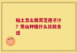 粘土怎么做灵芝孢子汁？荒山种植什么比较合适