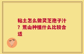 粘土怎么做灵芝孢子汁？荒山种植什么比较合适