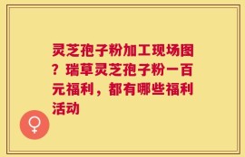 灵芝孢子粉加工现场图？瑞草灵芝孢子粉一百元福利，都有哪些福利活动