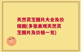 天然灵芝图片大全及价格图(多张美观天然灵芝图片及价格一览)