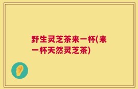 野生灵芝茶来一杯(来一杯天然灵芝茶)
