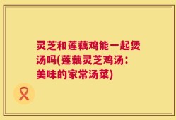 灵芝和莲藕鸡能一起煲汤吗(莲藕灵芝鸡汤：美味的家常汤菜)