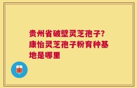 贵州省破壁灵芝孢子？康怡灵芝孢子粉育种基地是哪里