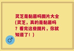 灵芝是黏菌吗图片大全(灵芝，真的是黏菌吗？看完这些图片，你就知道了！)