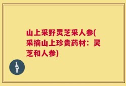 山上采野灵芝采人参(采摘山上珍贵药材：灵芝和人参)