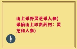 山上采野灵芝采人参(采摘山上珍贵药材：灵芝和人参)