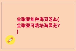 尘歌壶能种海灵芝么(尘歌壶可栽培海灵芝？)