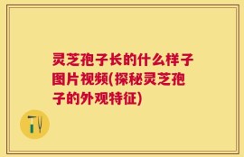 灵芝孢子长的什么样子图片视频(探秘灵芝孢子的外观特征)
