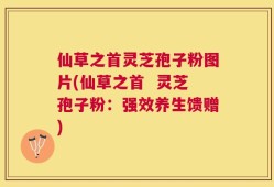 仙草之首灵芝孢子粉图片(仙草之首  灵芝孢子粉：强效养生馈赠)