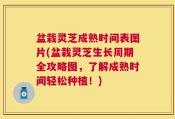盆栽灵芝成熟时间表图片(盆栽灵芝生长周期全攻略图，了解成熟时间轻松种植！)
