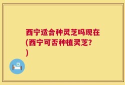 西宁适合种灵芝吗现在(西宁可否种植灵芝？)