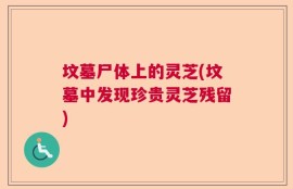 坟墓尸体上的灵芝(坟墓中发现珍贵灵芝残留)