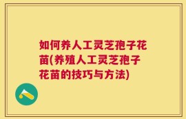如何养人工灵芝孢子花苗(养殖人工灵芝孢子花苗的技巧与方法)
