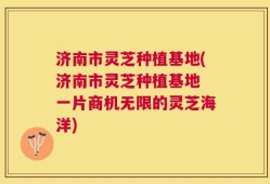 济南市灵芝种植基地(济南市灵芝种植基地 一片商机无限的灵芝海洋)