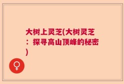 大树上灵芝(大树灵芝：探寻高山顶峰的秘密)