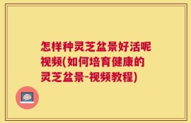 怎样种灵芝盆景好活呢视频(如何培育健康的灵芝盆景-视频教程)