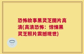 恐怖故事黑灵芝图片高清(高清恐怖：惊悚黑灵芝照片震撼现世)