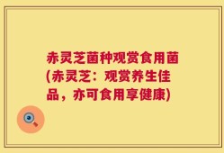 赤灵芝菌种观赏食用菌(赤灵芝：观赏养生佳品，亦可食用享健康)