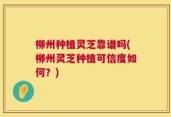 柳州种植灵芝靠谱吗(柳州灵芝种植可信度如何？)