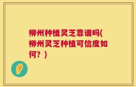 柳州种植灵芝靠谱吗(柳州灵芝种植可信度如何？)