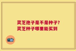 灵芝孢子是不是种子？灵芝种子哪里能买到