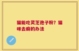 猫能吃灵芝孢子粉？猫咪去癣的办法
