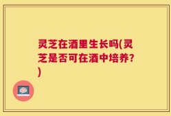 灵芝在酒里生长吗(灵芝是否可在酒中培养？)