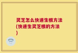灵芝怎么快速生根方法(快速生灵芝根的方法)