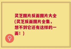 灵芝图片反面图片大全(灵芝反面图片全集，想不到它还有这样的一面！)