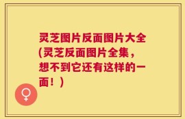 灵芝图片反面图片大全(灵芝反面图片全集，想不到它还有这样的一面！)