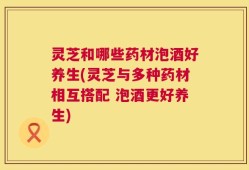 灵芝和哪些药材泡酒好养生(灵芝与多种药材相互搭配 泡酒更好养生)