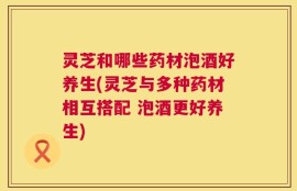 灵芝和哪些药材泡酒好养生(灵芝与多种药材相互搭配 泡酒更好养生)