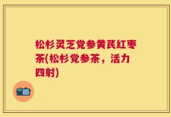 松杉灵芝党参黄芪红枣茶(松杉党参茶，活力四射)