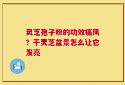灵芝孢子粉的功效痛风？干灵芝盆景怎么让它发亮