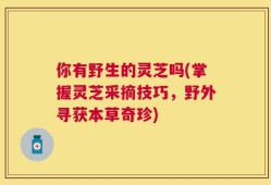 你有野生的灵芝吗(掌握灵芝采摘技巧，野外寻获本草奇珍)
